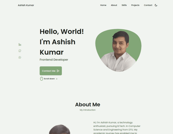 Developer Portfolio V1